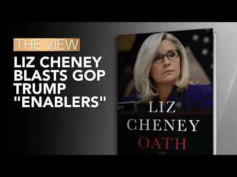 Le osservazioni di Cheney avranno risonanza tra il GOP e gli elettori?  |  La vista