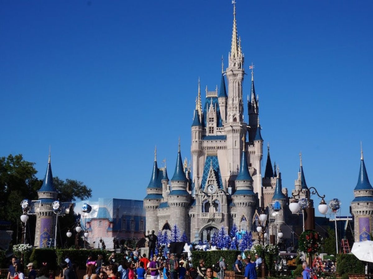 Man Sues Disney For Ruining His Wedding Proposal