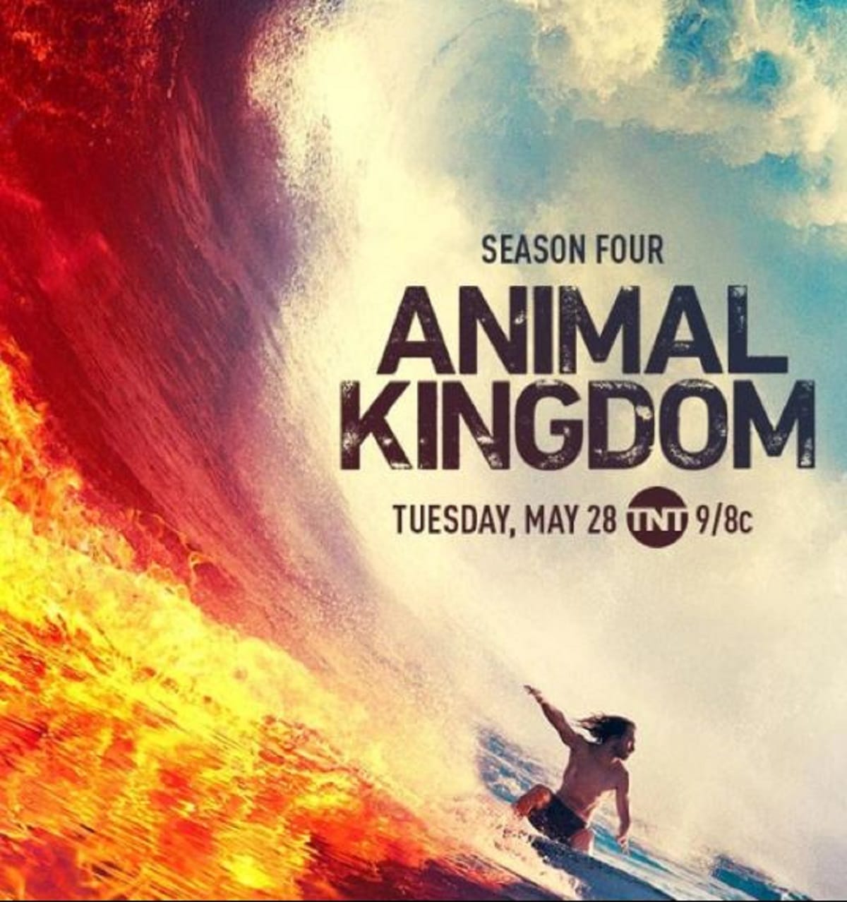 Animal Kingdom Season 4 release date on TNT: Here is when the family