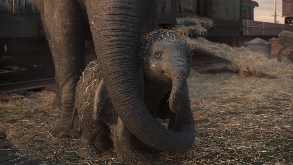 Danny Elfman's Triumphant Dumbo Theme Started Out As A Sad Song