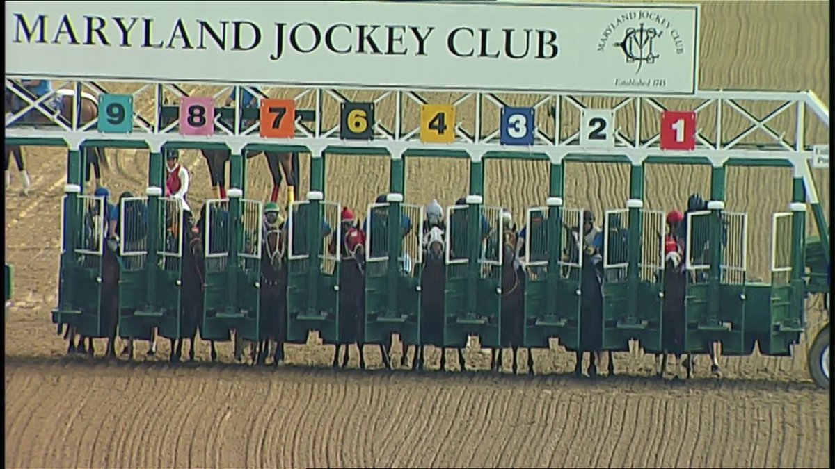 What Was The Payout For The Preakness Race