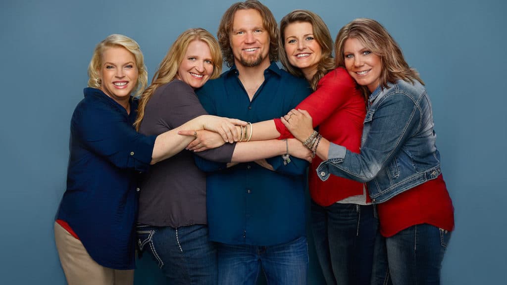 What do the Sister Wives do for work in 2020?