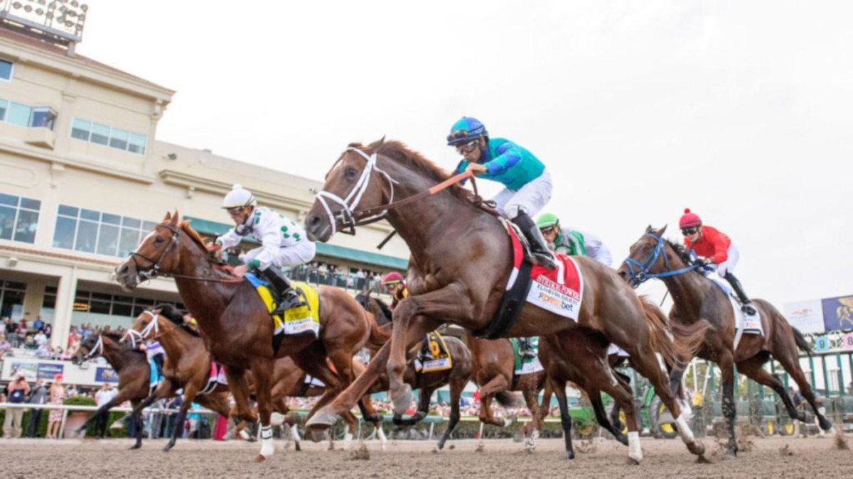 Florida Derby 2020 Live Stream Results And Winning Payouts For Kentucky Derby Prep Race