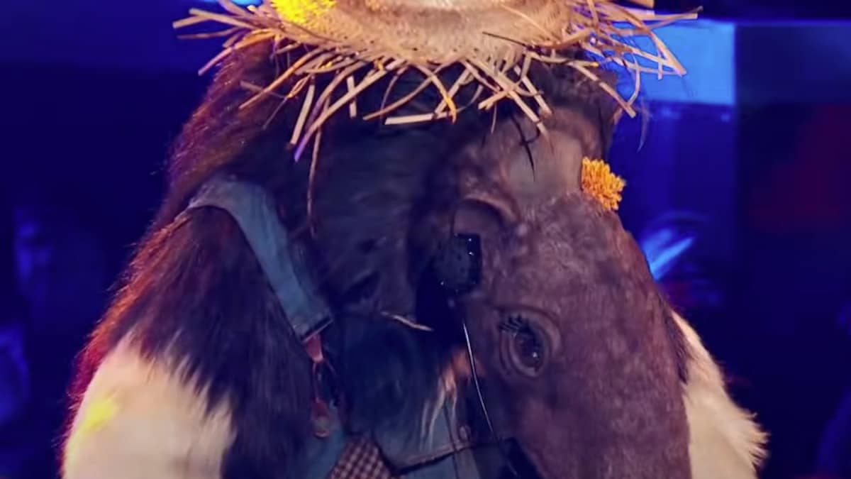 anteater face shot from the masked singer season 10 reveal episode