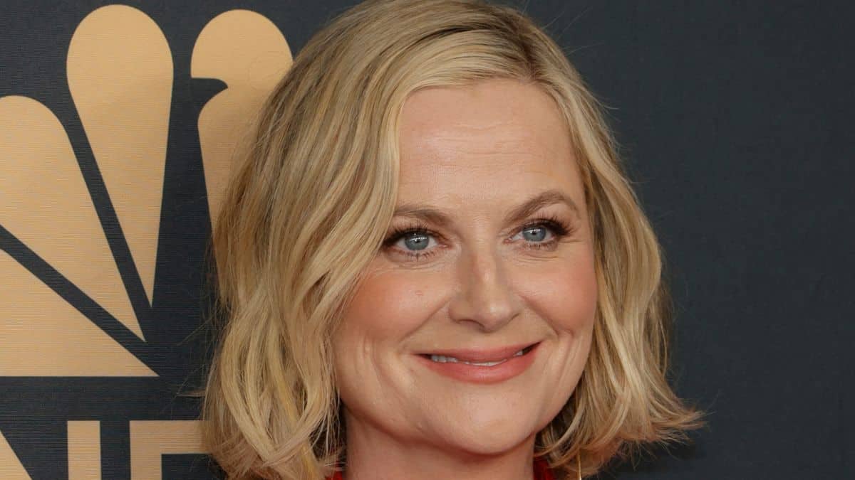 Amy Poehler on the red carpet