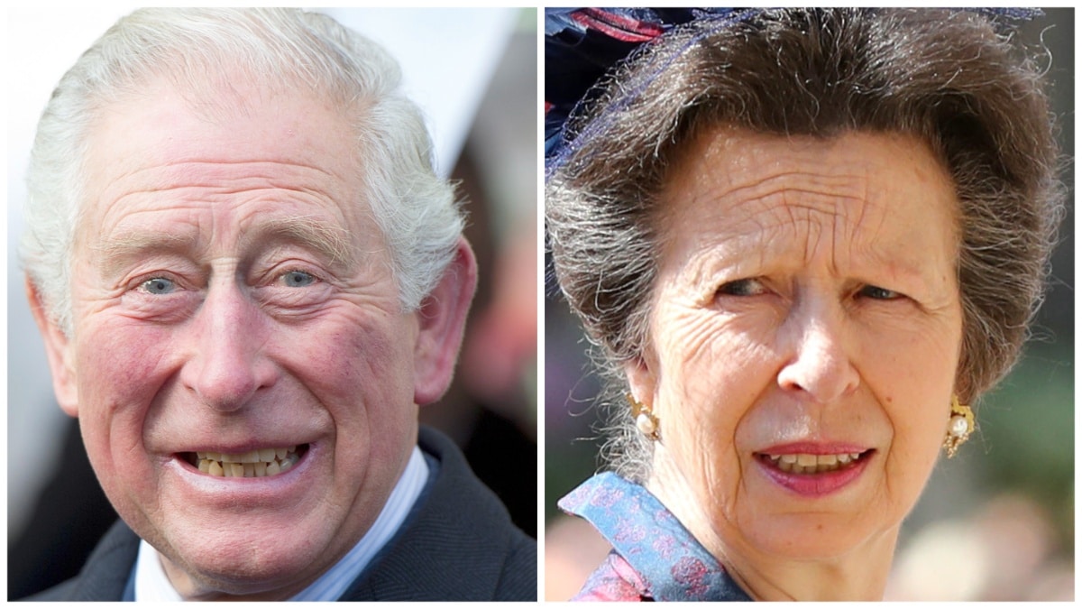 King Charles and Princess Anne at different events