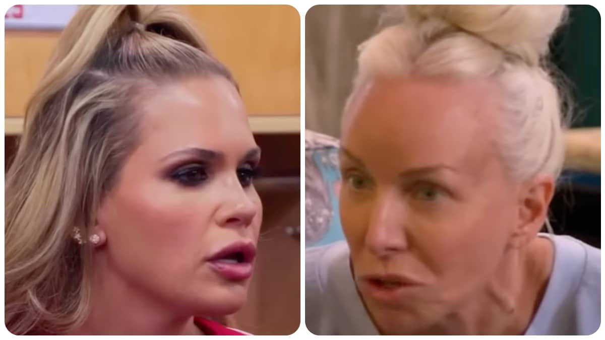 Jackie Goldschneider and Margaret Josephs on RHONJ.