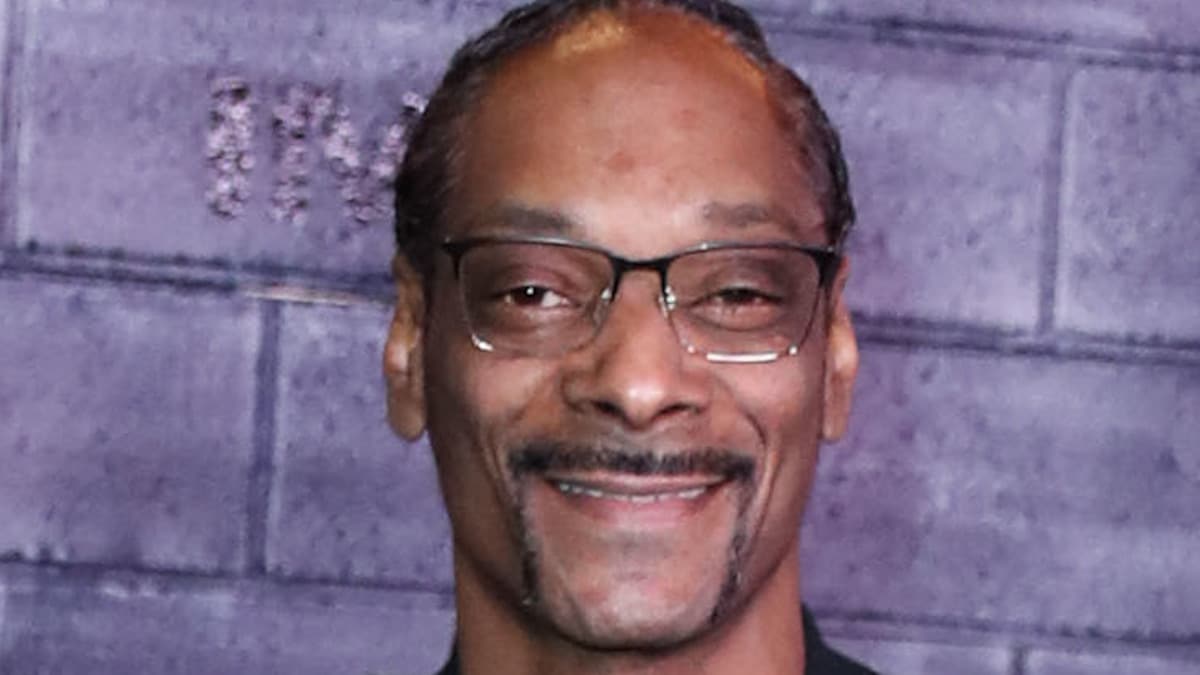 snoop dogg face shot from Los Angeles Premiere Of Columbia Pictures Bad Boys For Life