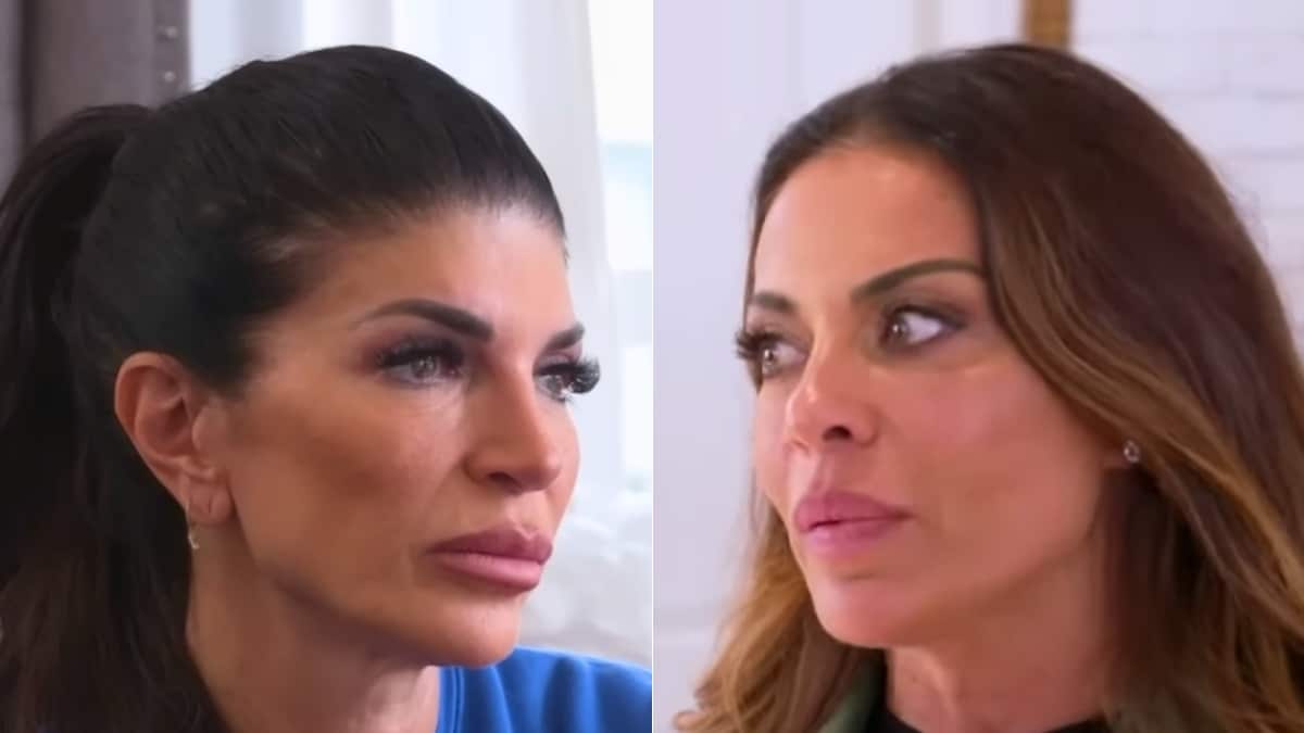 RHONJ castmates Teresa Giudice and Dolores Catania screenshot